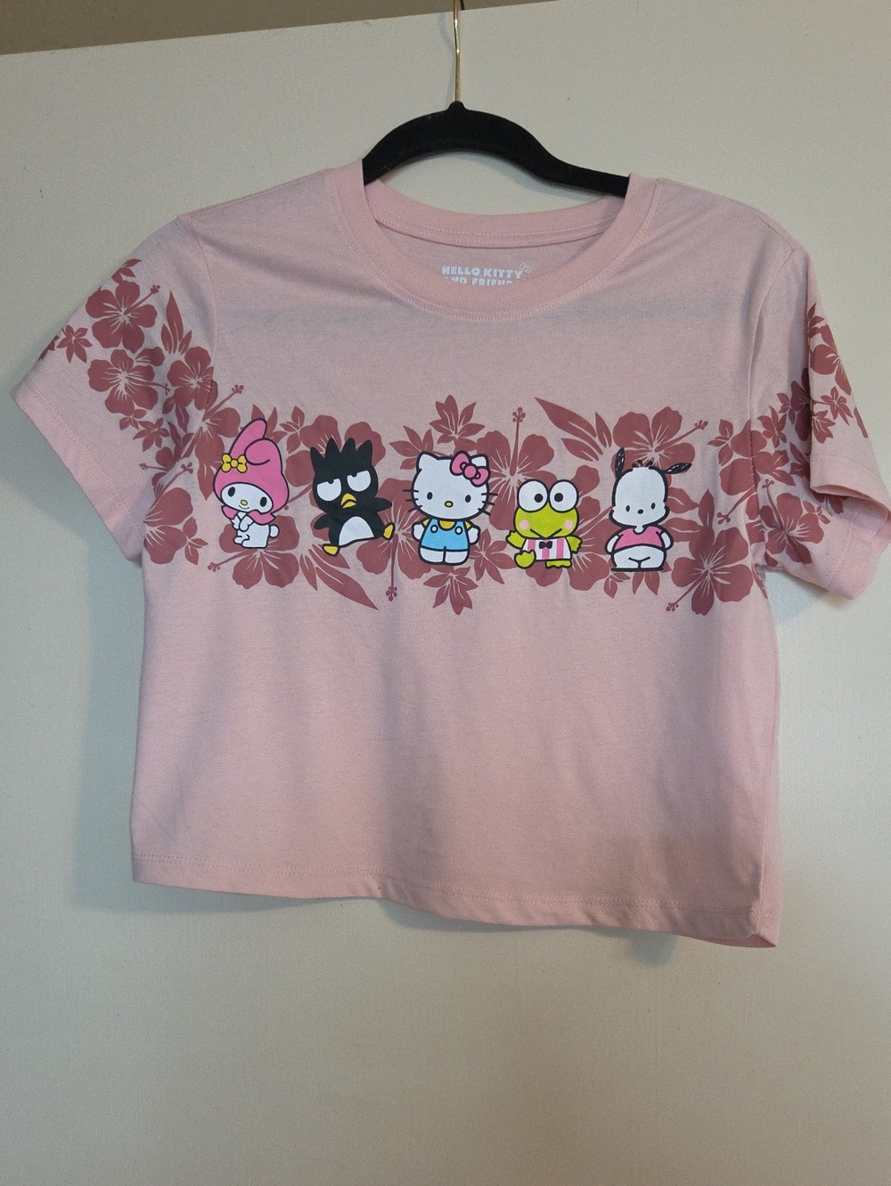 Hello Kitty Pink Floral Character Tee